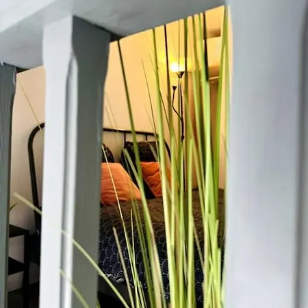 Duplex Au Centre - Gare Matabiau Toulouse